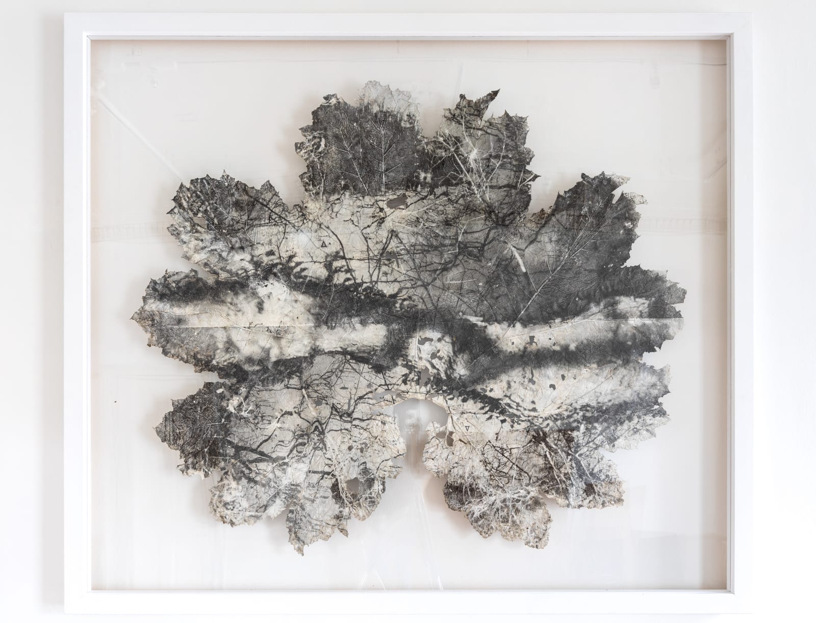 Dominique Lacloche, Leaf IX, 2020