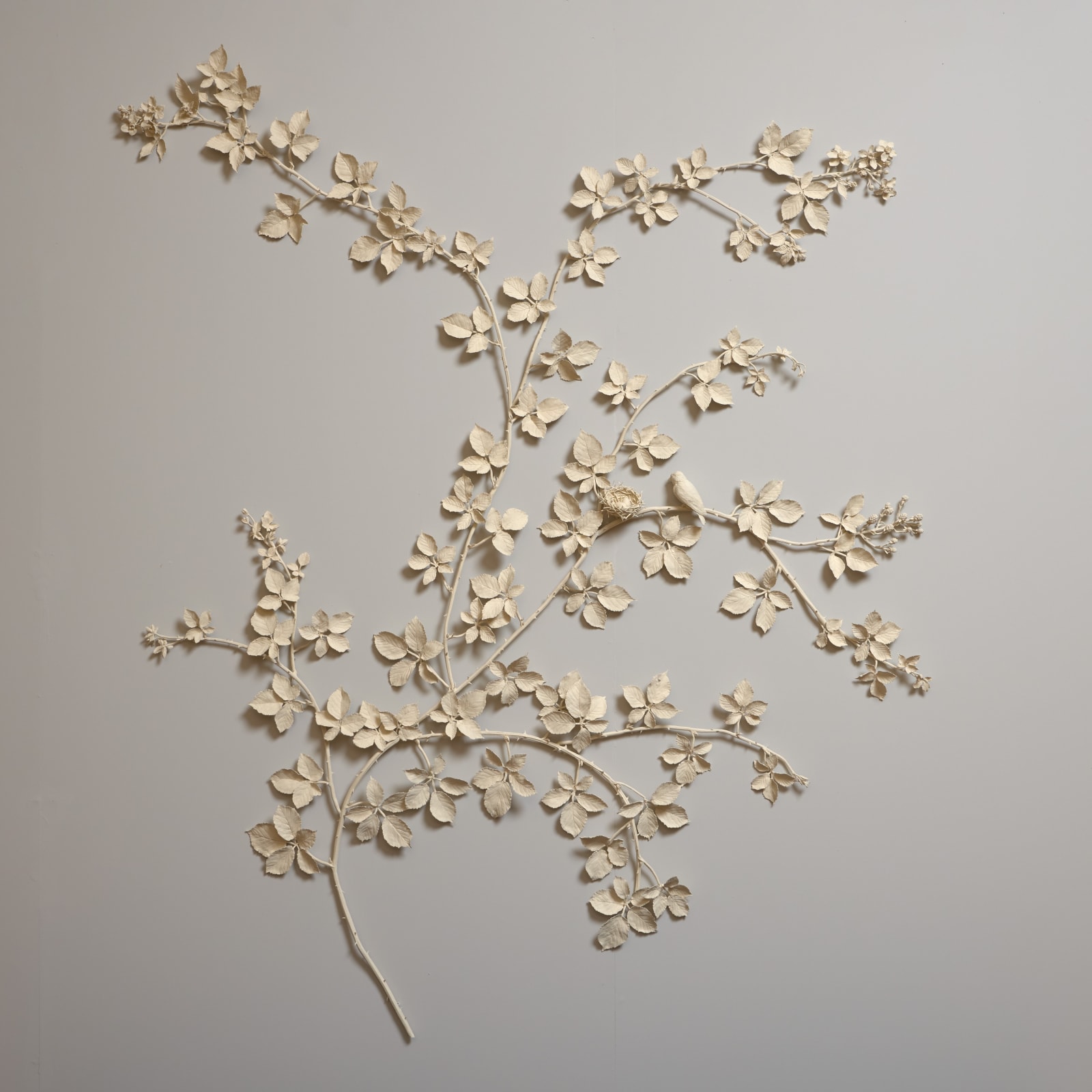 Kaori Tatebayashi, Bramble with Chaffinch Nest , 2025