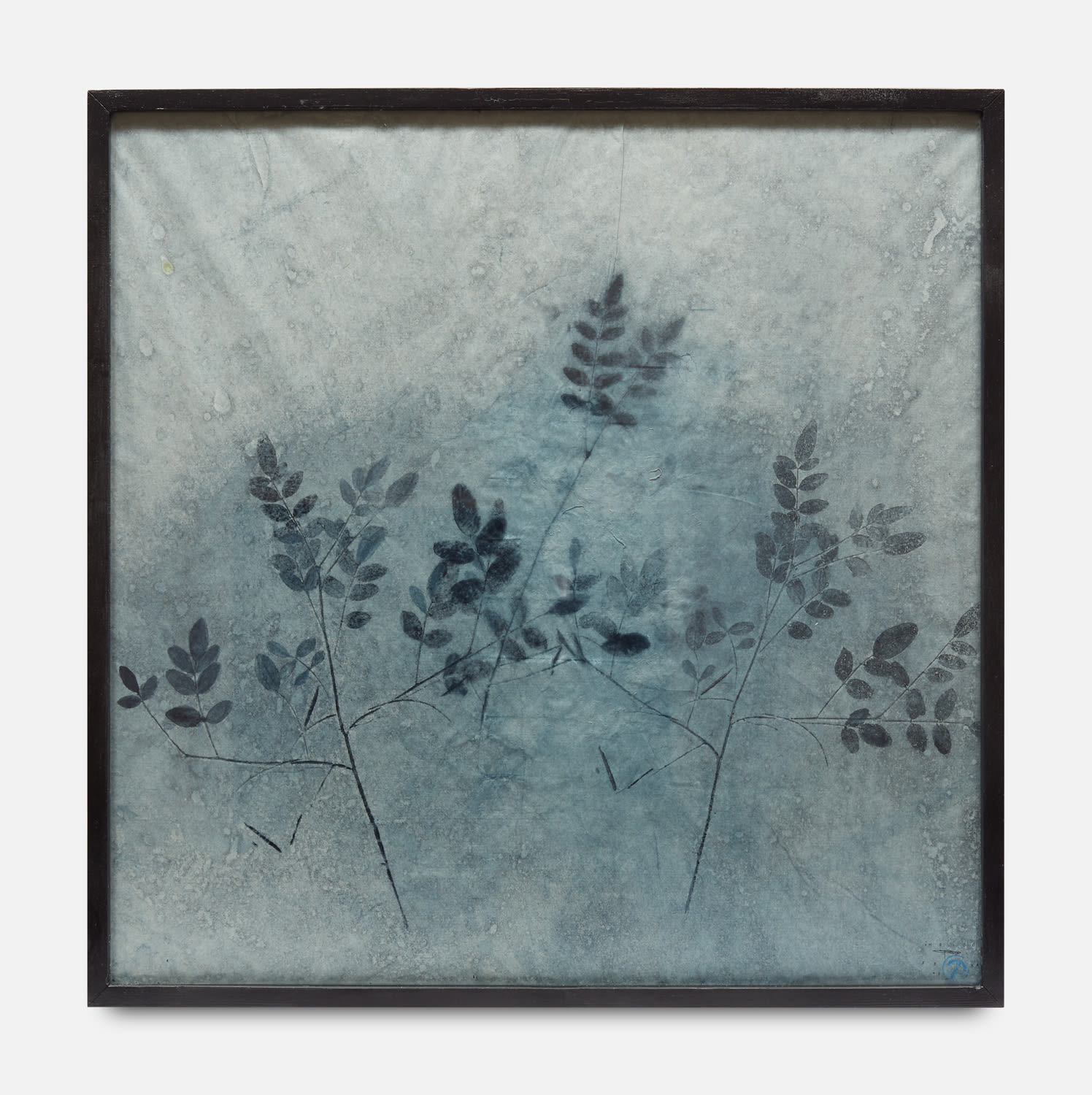 Parme Baratier, Indigofera Tinctoria I, 2018