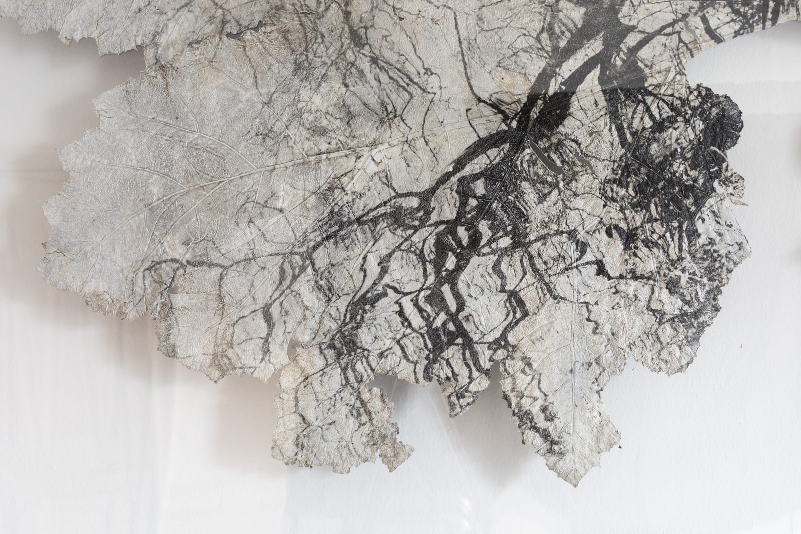 Dominique Lacloche, Leaf V, 2020