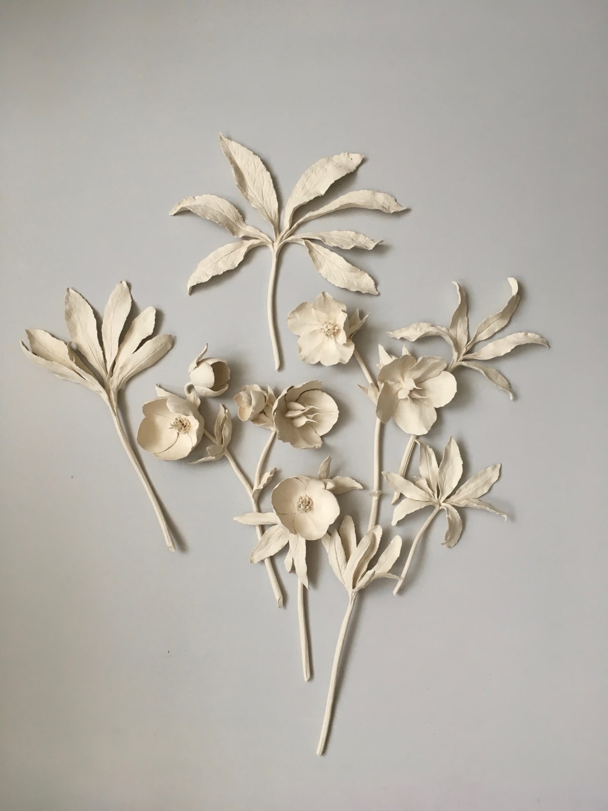 Kaori Tatebayashi, Hellebore, 2019