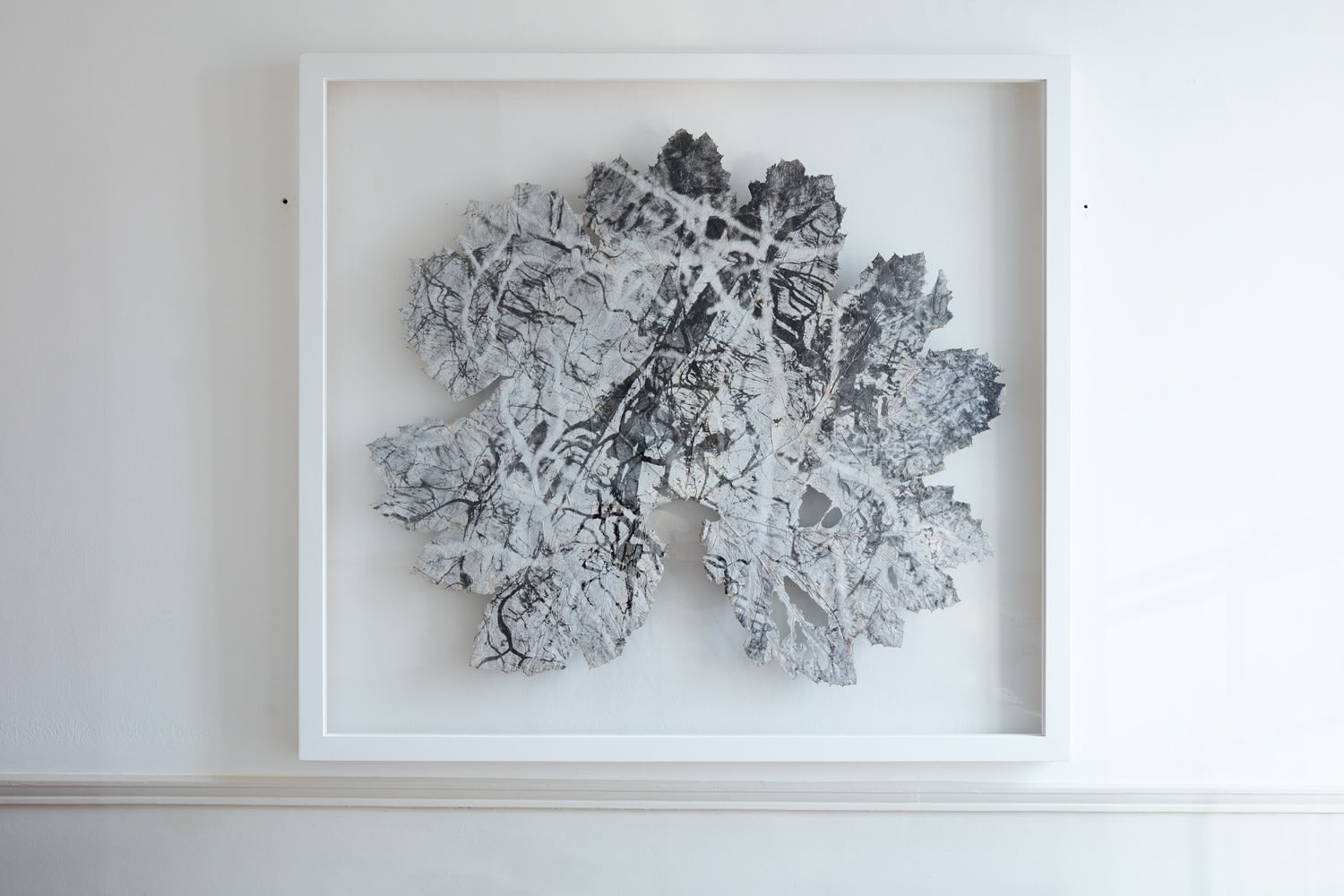 Dominique Lacloche, Leaf IV, 2019
