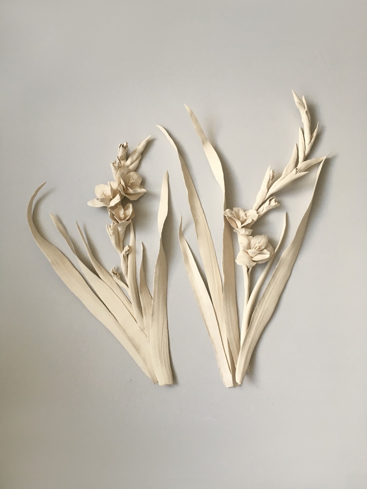 Kaori Tatebayashi, Gladiolus, 2019