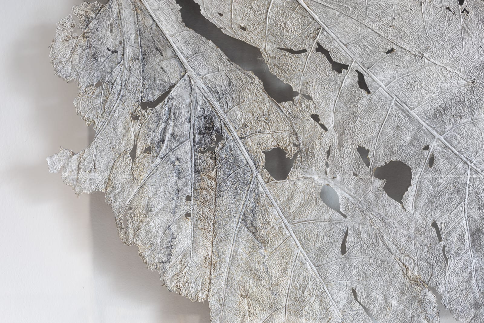 Dominique Lacloche, Leaf V, 2020