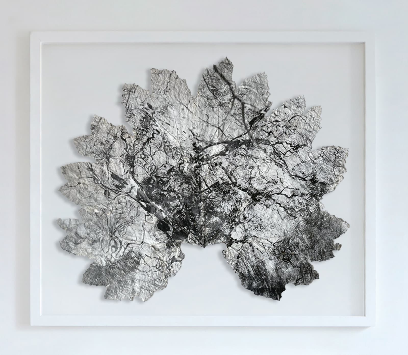 Dominique Lacloche, Leaf XIV, 2025
