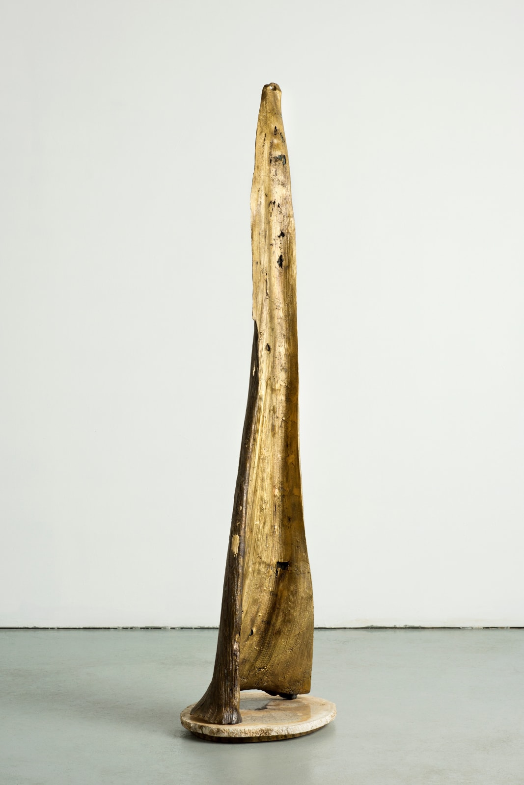 Lara Saget, Palm, 2023