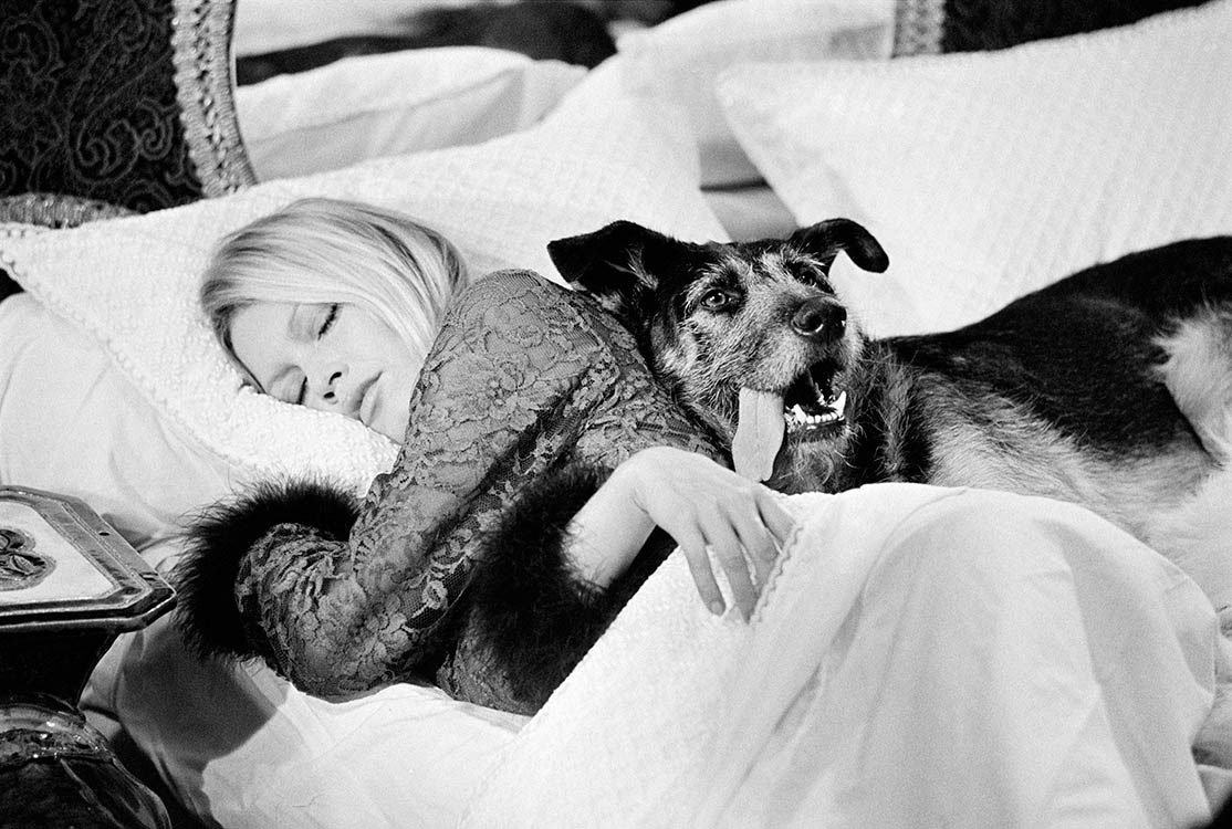 Terry O'Neill, Co-Signed Brigitte Bardot With Dog