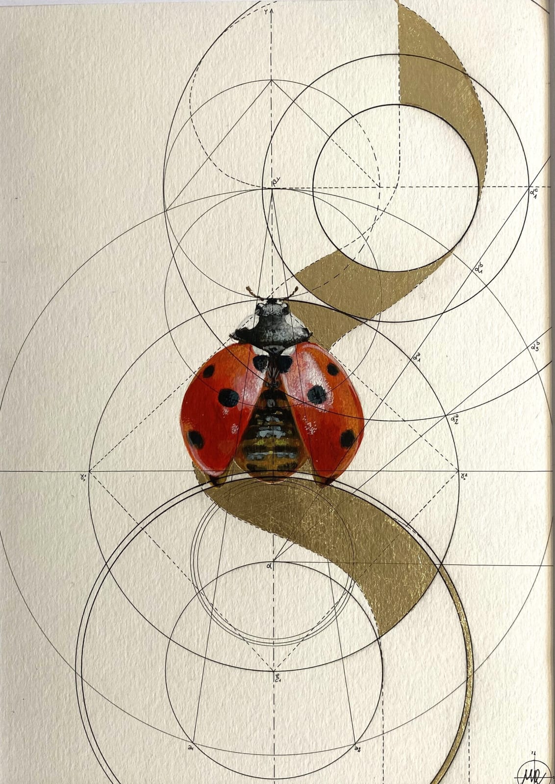 Marco Araldi, Insectum 2, 2025