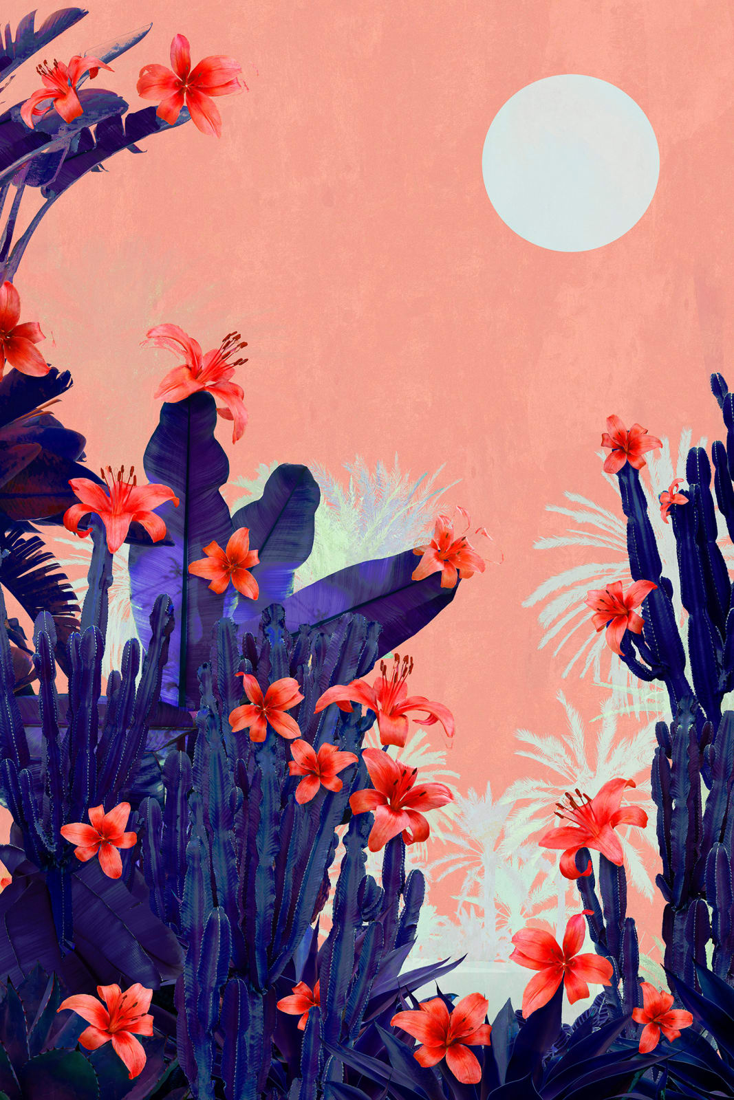 Stylised photograph by artist nadia attura of pink background and leaves and flowers in foreground. Turner Art Perspective. Essex Gallery