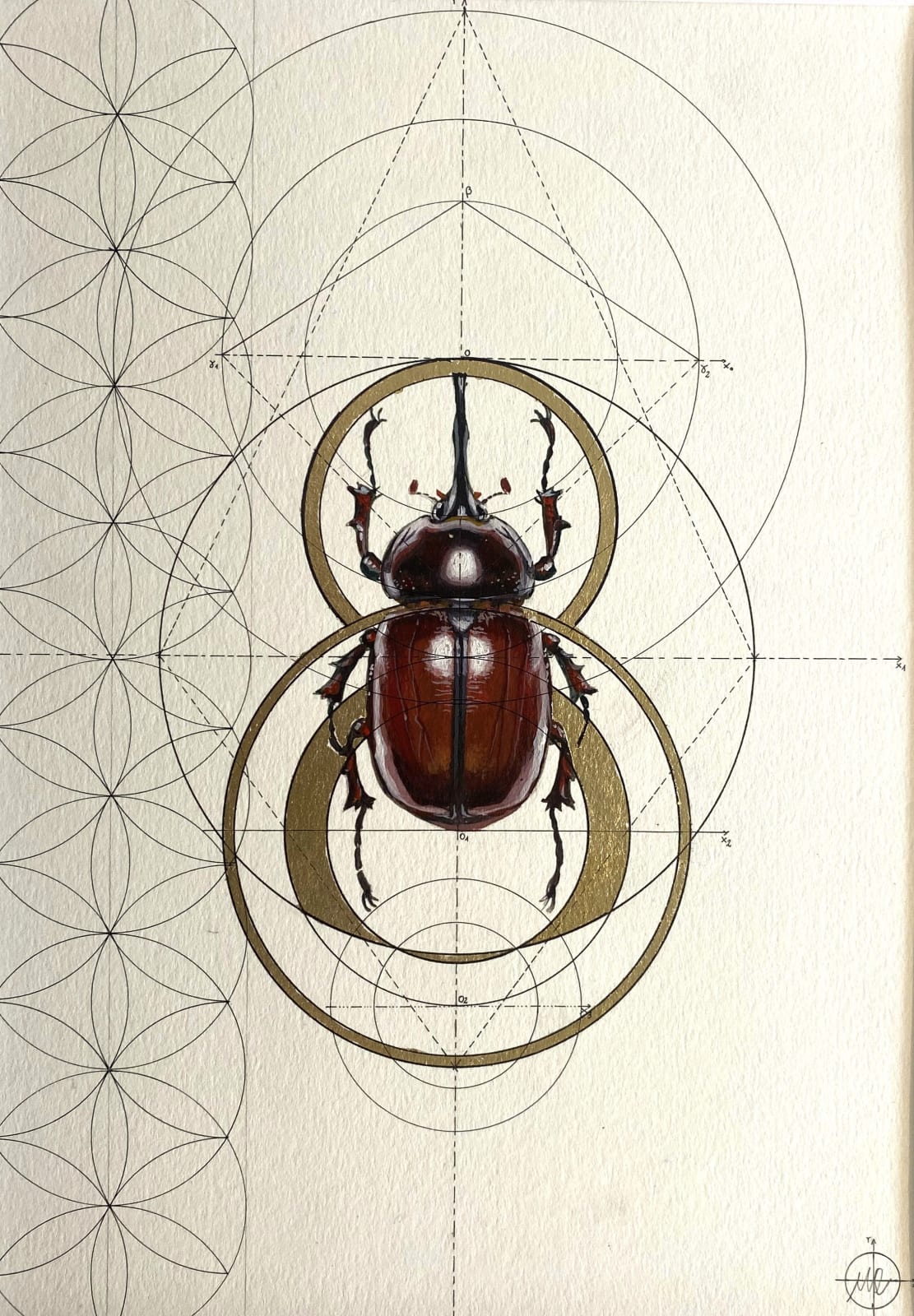 Marco Araldi, Insectum 4, 2025