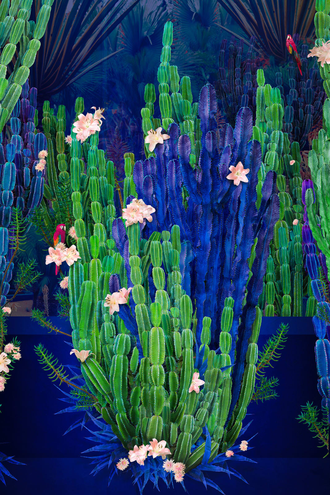 photograph by artist nadia attura of green cactus on blue background. Turner Art Perspective, essex gallery