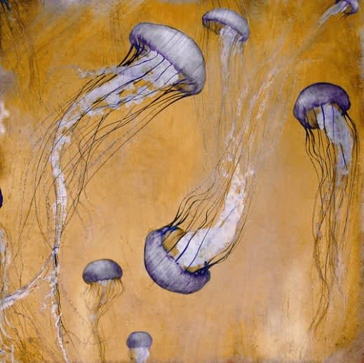 Nadia Attura, Monterey Purple