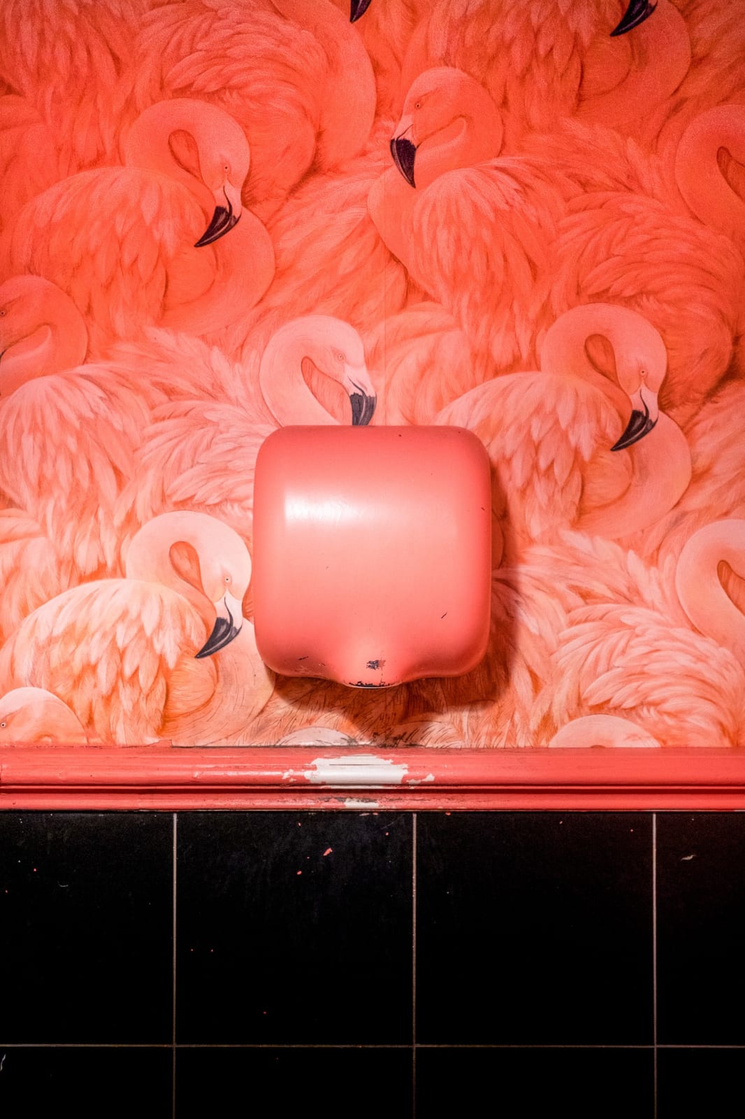 Samuel Ryde, Artist, The Courtyard, London, Pink, Flamingos, Toilet, Turner Art Perspective, Essex Chelmsford Art Gallery