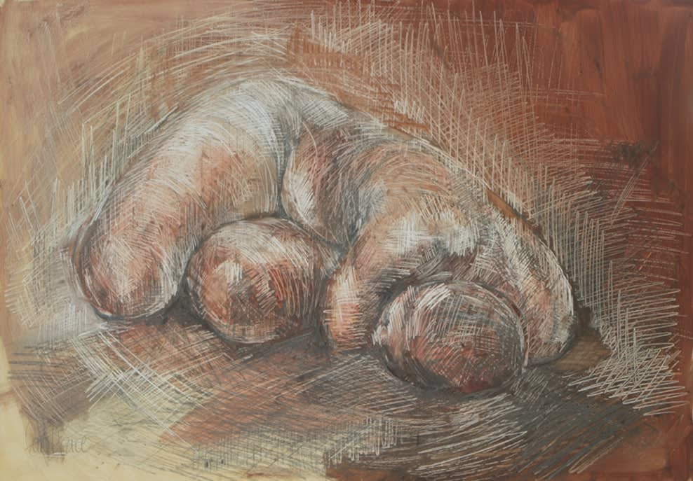 Carol Peace, Figure in Browns