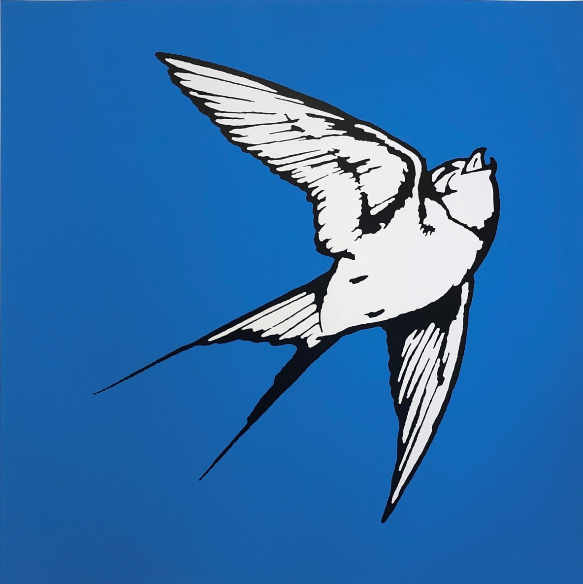 Dan Baldwin, Love & Light - Blue & White, 2020