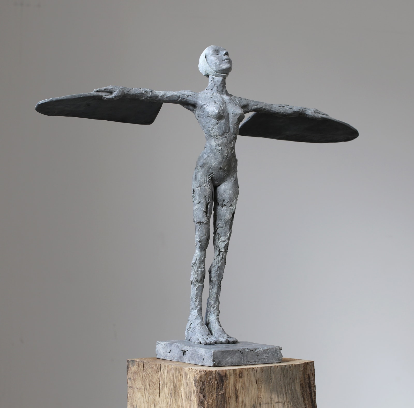 Carol Peace, Plain Girl