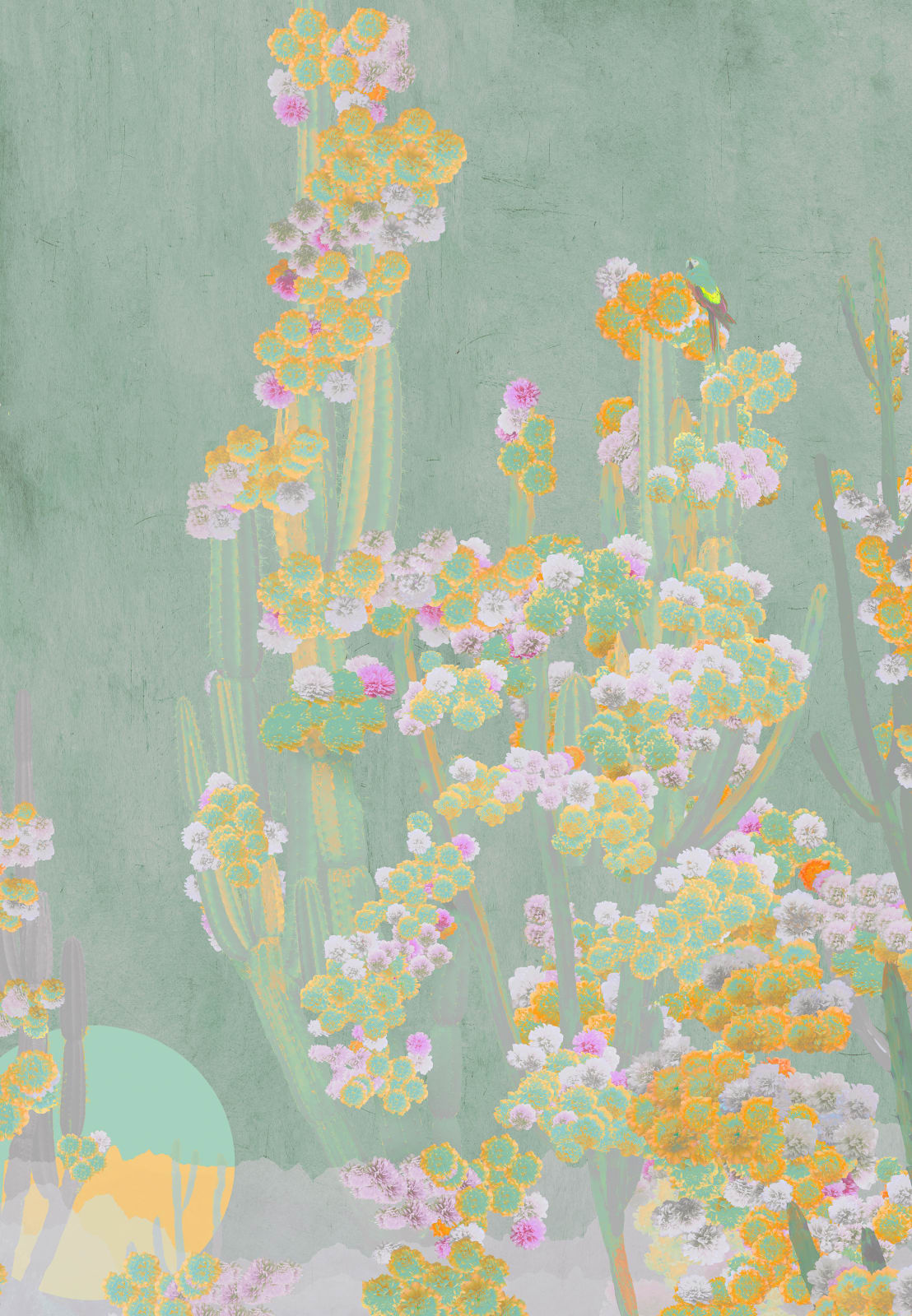 Nadia Attura, Cactus Jade