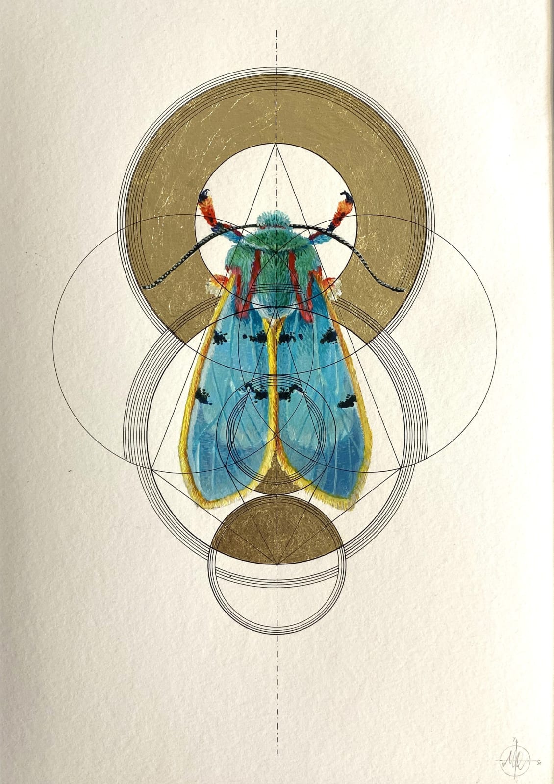 Marco Araldi, Insectum 10, 2025