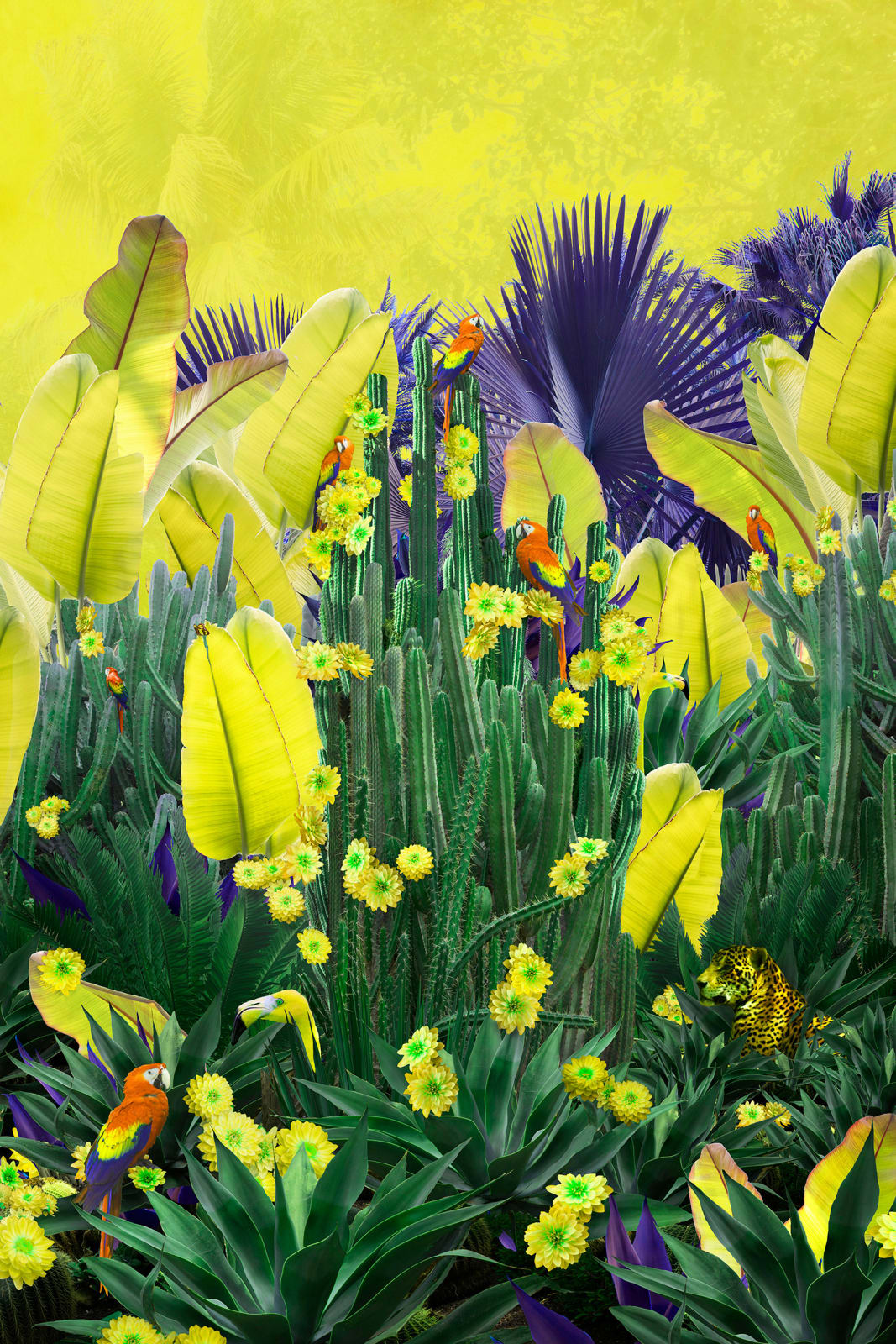Edited photograph by nadia attura depicting a yellow sky and a grove of green cactus. Turner Art Perspective. Essex Gallery
