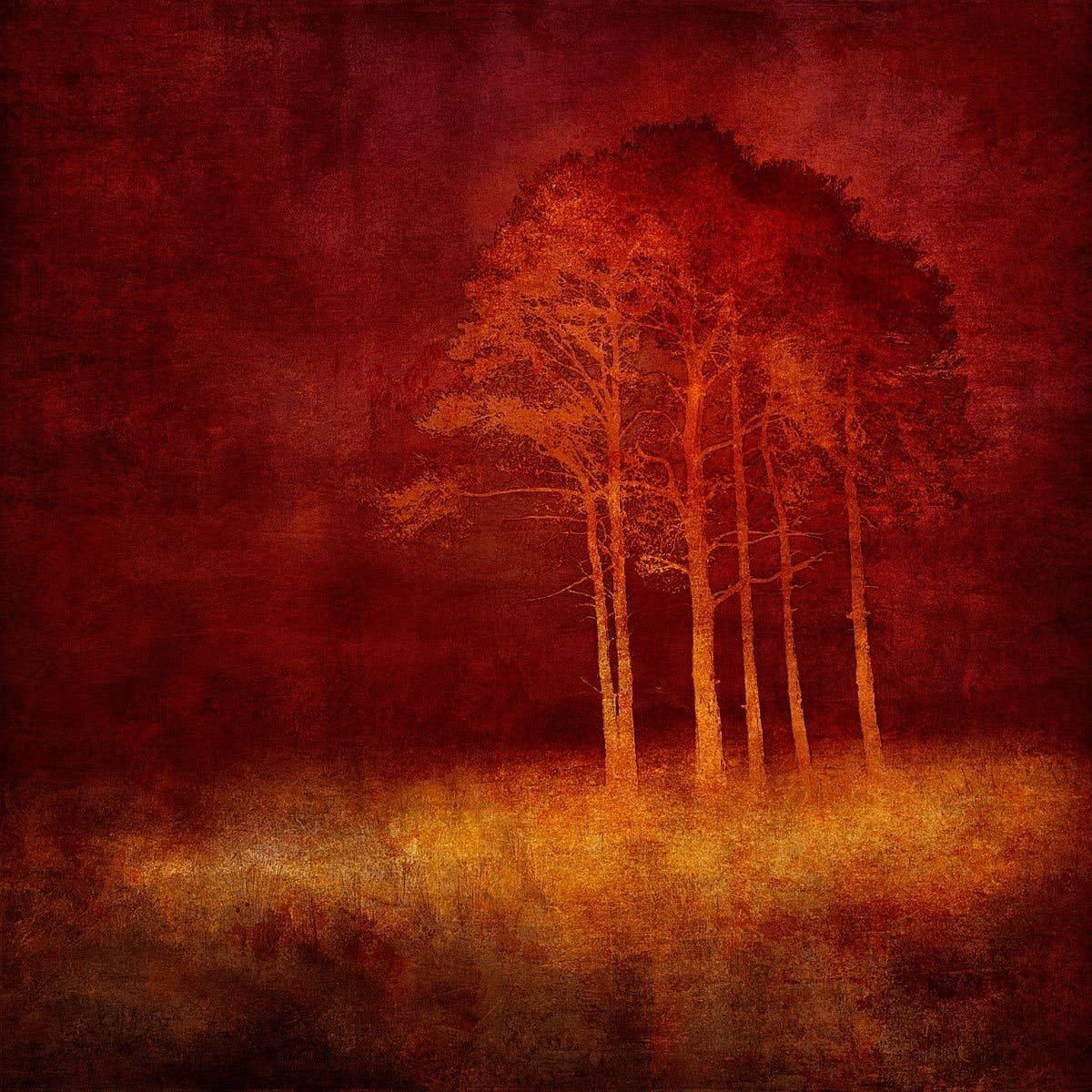 Mark Munroe-Preston, Artist, N51.0527 E0.0900, Treescapes, Abstract, Red, Turner Art Perspective, Essex, Chelmsford, Art Gallery
