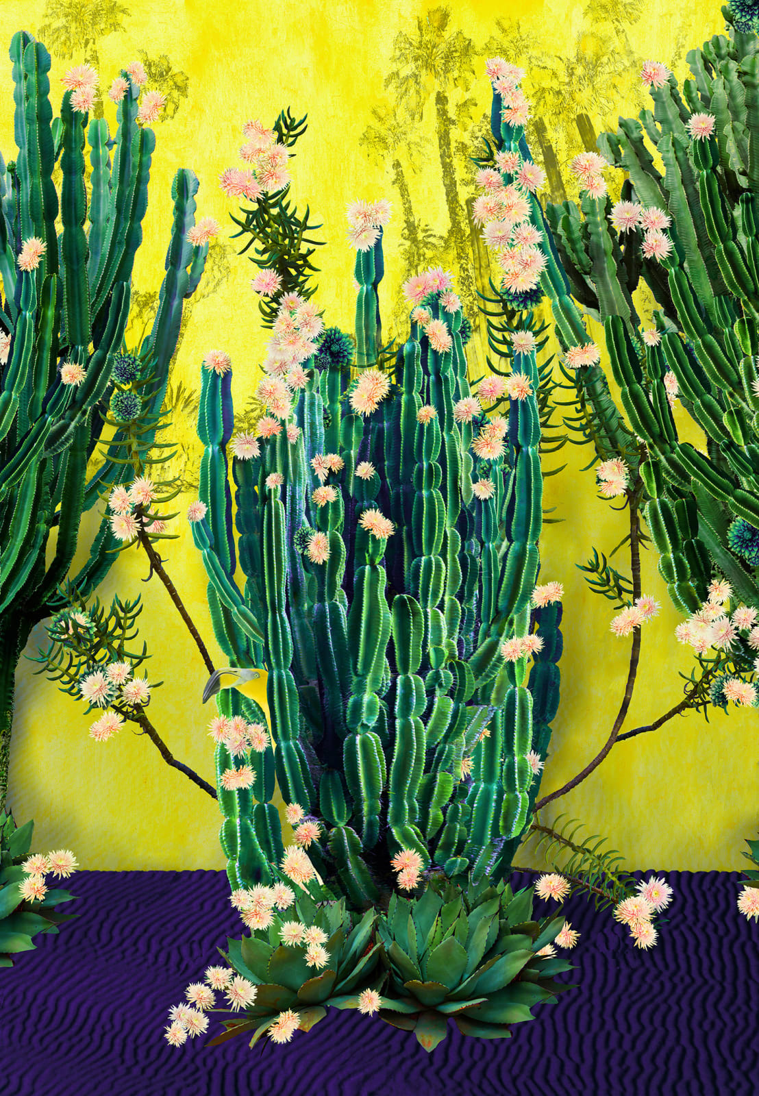 Print by artist and photographer Nadia Attura, depicting a yellow background, cactus and blossom. Turner Art Perspective, essex gallery