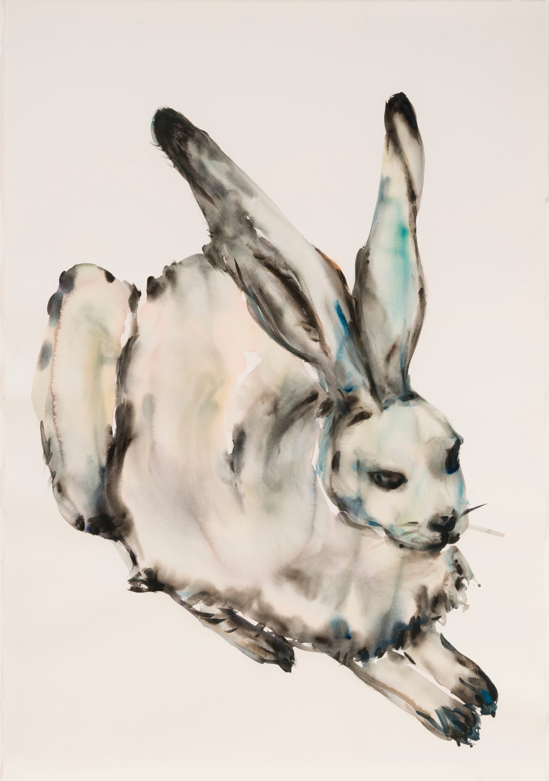 Kim McCarty, Rabbit 2, 2013