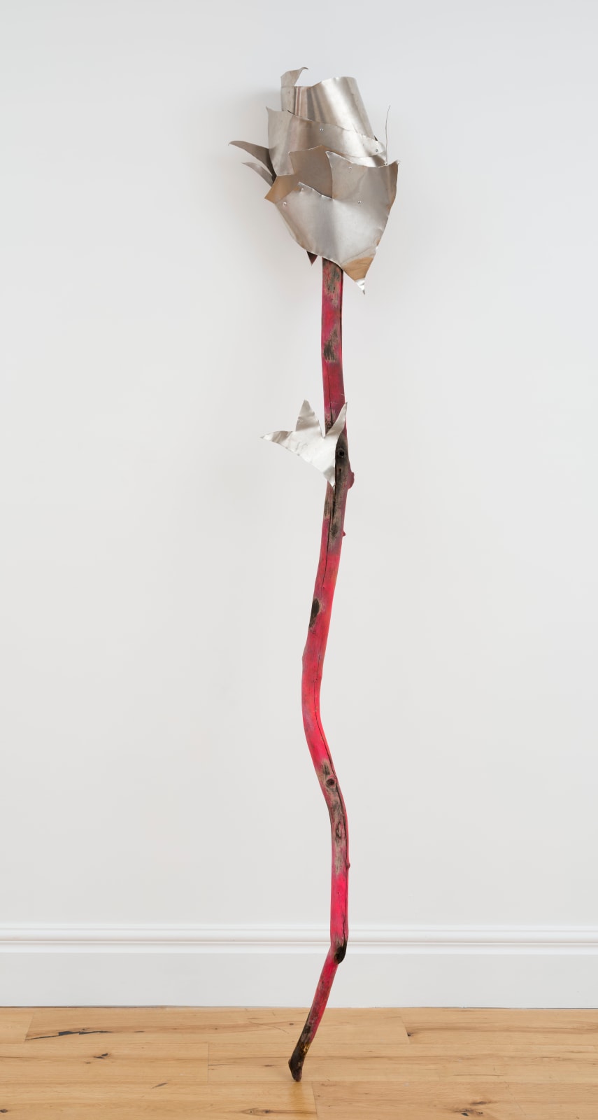 David Alexander Flinn, Every Thorn Has Its Rose, 2018