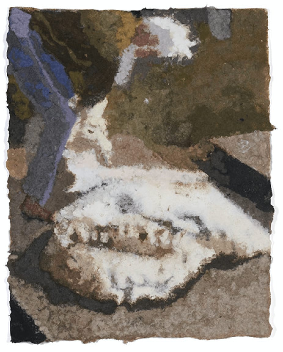 Suzanne Dittenber, Sheep Shearing (2), 2023