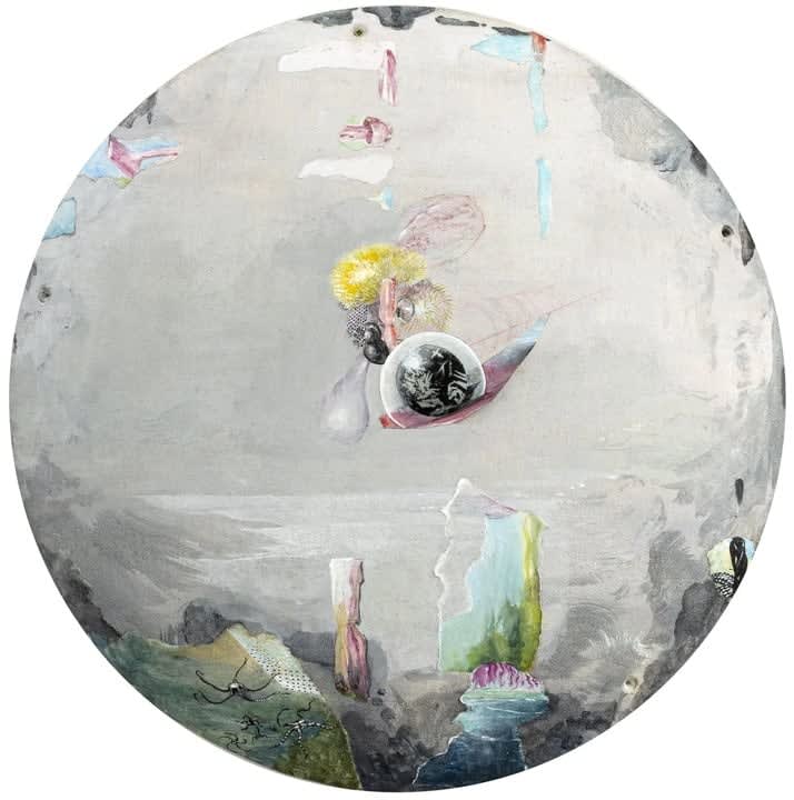 Marilou van Lierop, Plants that dream, 2023