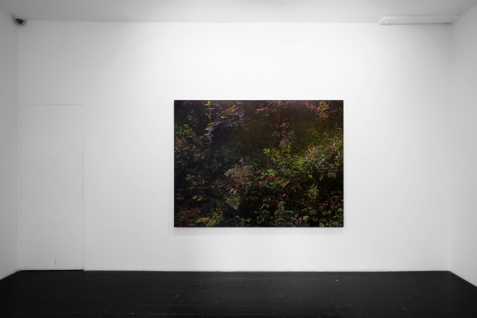 Hannah Brown, Hedge 4, 2018