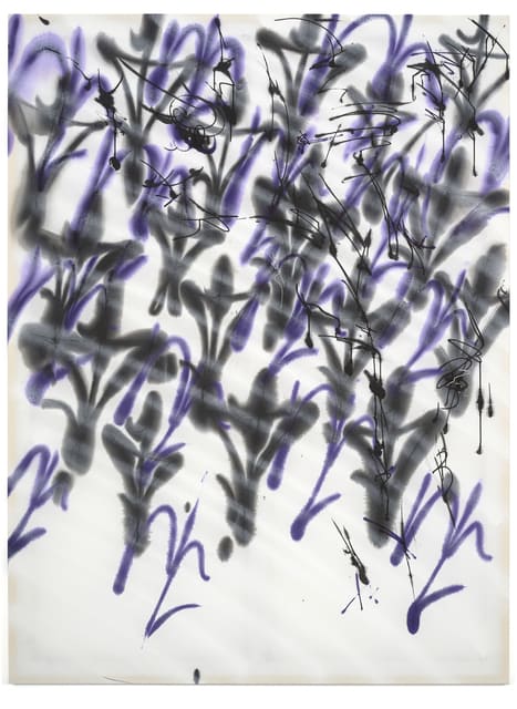 Ziggy Grudzinskas, Accept Confusion, 2017