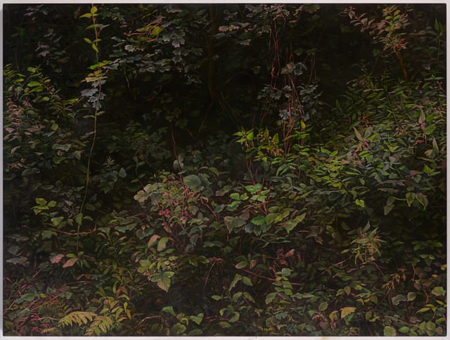 Hannah Brown, Hedge 4, 2018