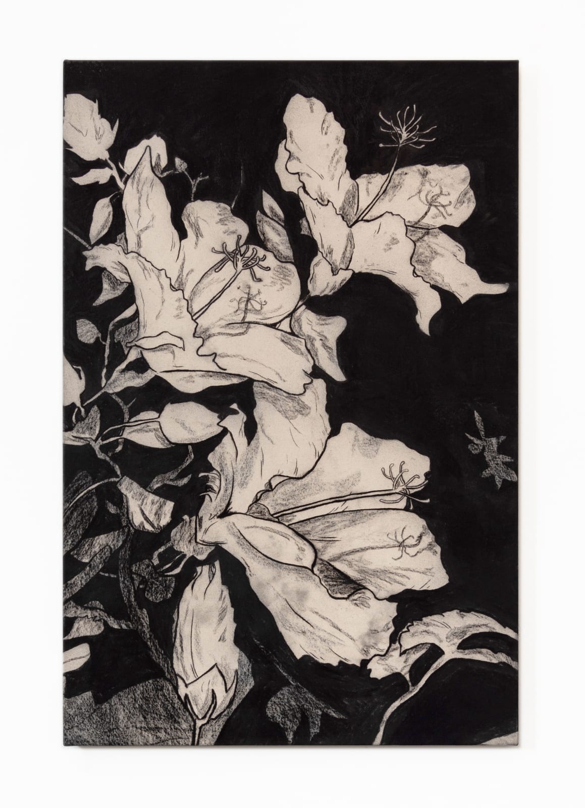 Benjamin Murphy, Kari, 2022