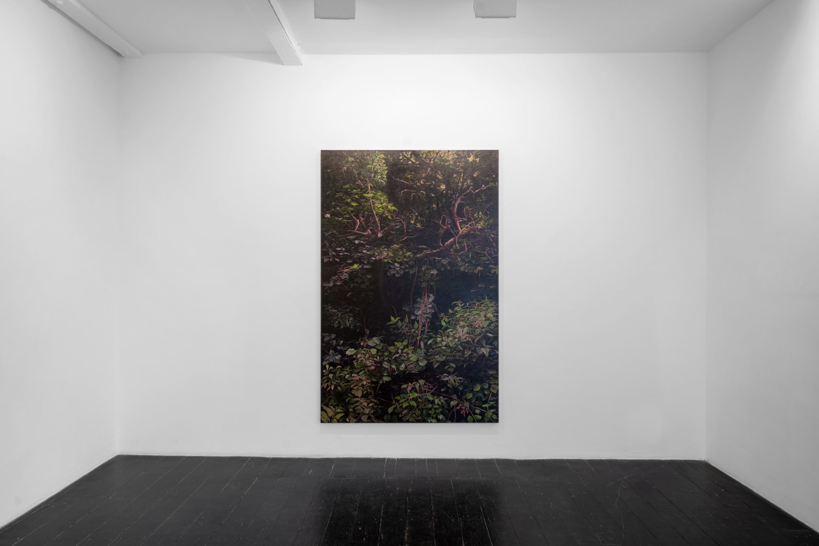 Hannah Brown, Hedge 6, 2019