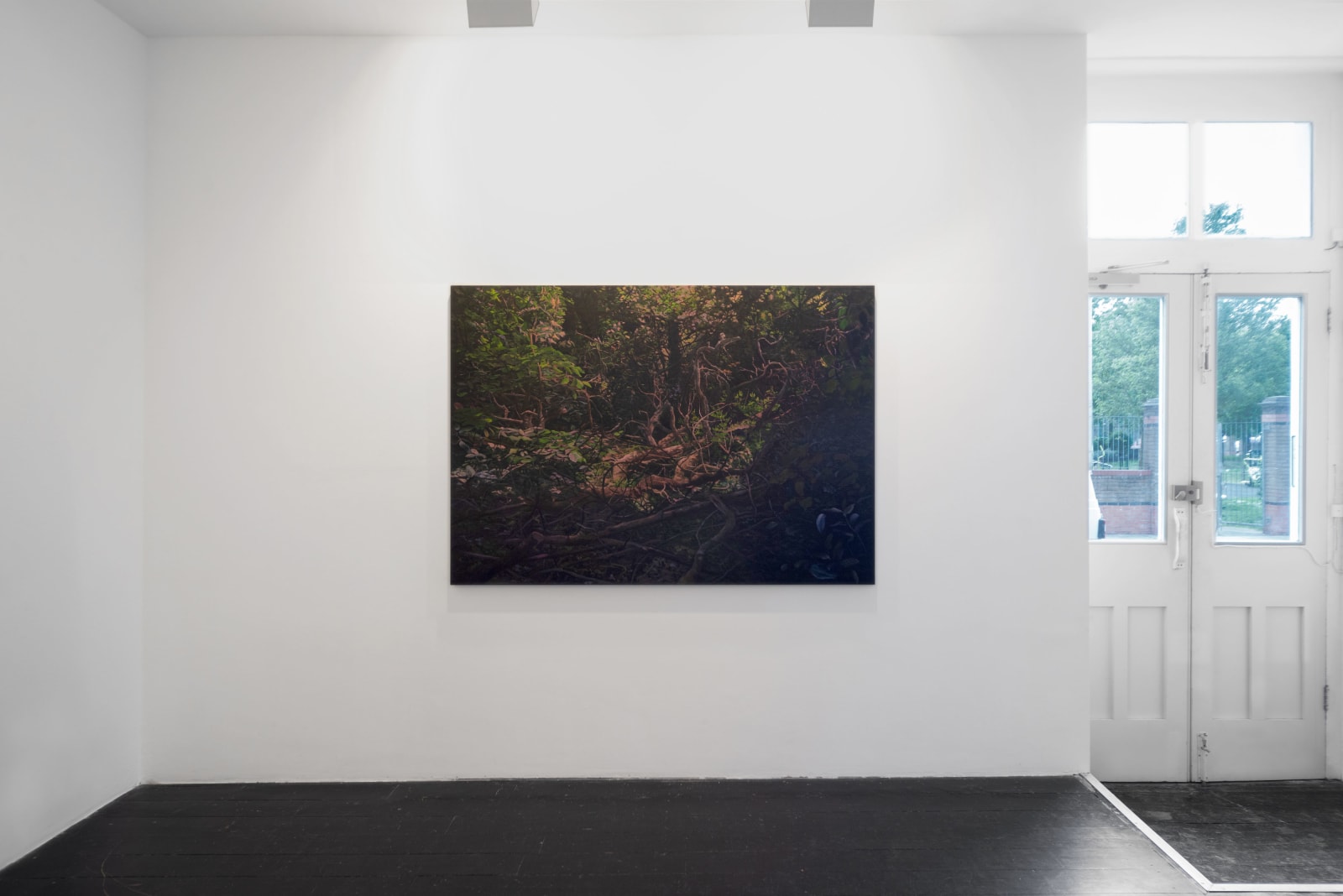Hannah Brown, Hedge 5, 2019