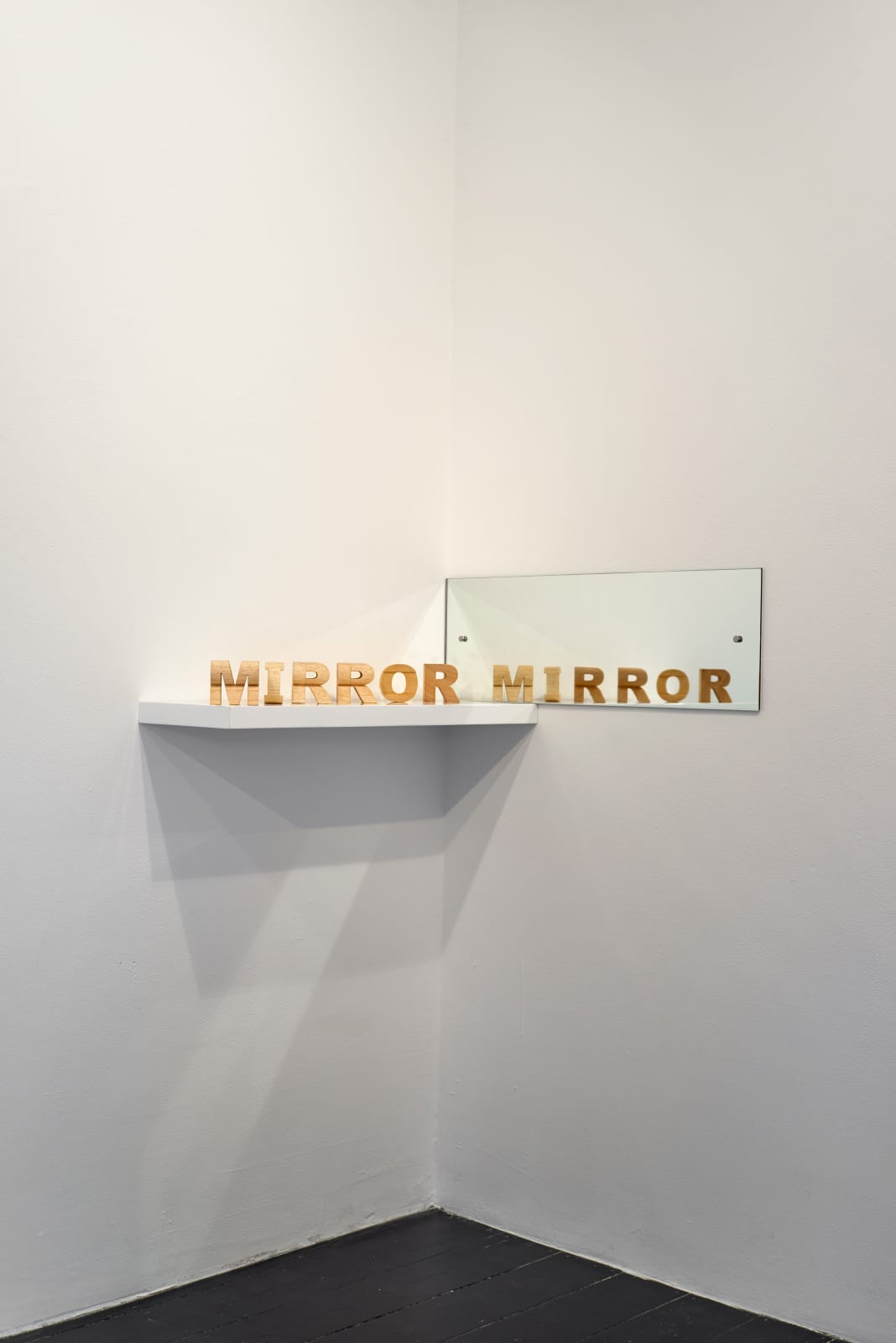 James Hopkins, Mirror Image, 2013