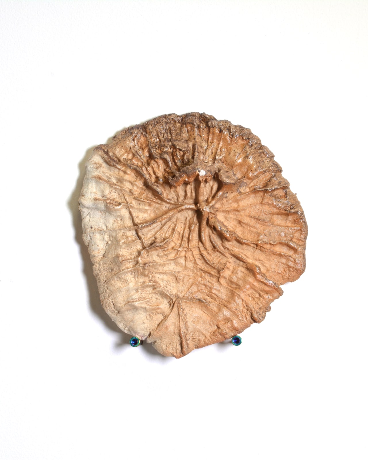 Benedikt Hipp, Fencepost Imprint, 2020