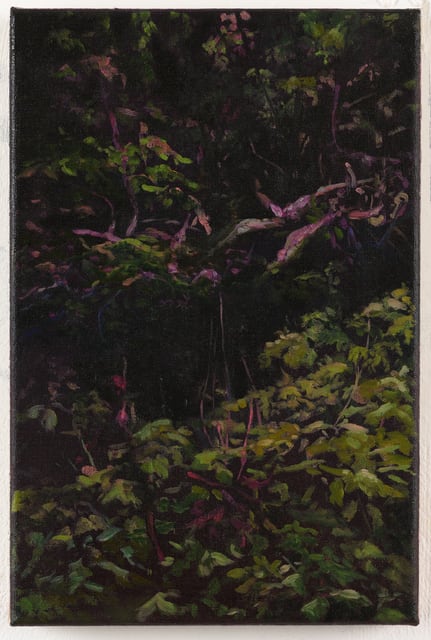 Hannah Brown, Study for Hedge 6 , 2018