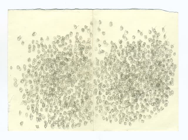 Daniel Blumberg, μg, noh, 2019