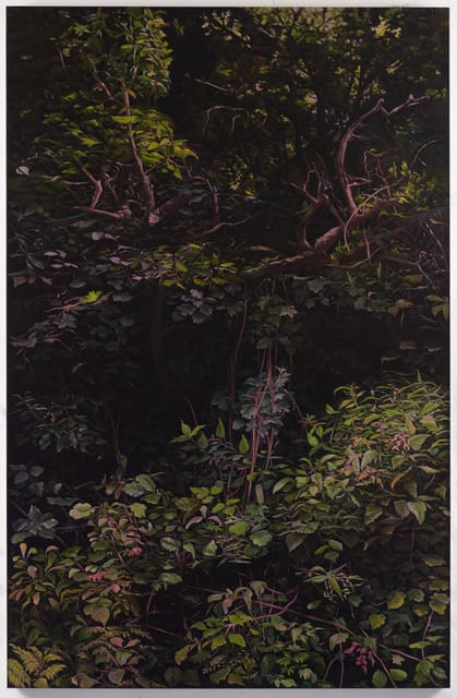 Hannah Brown, Hedge 6, 2019