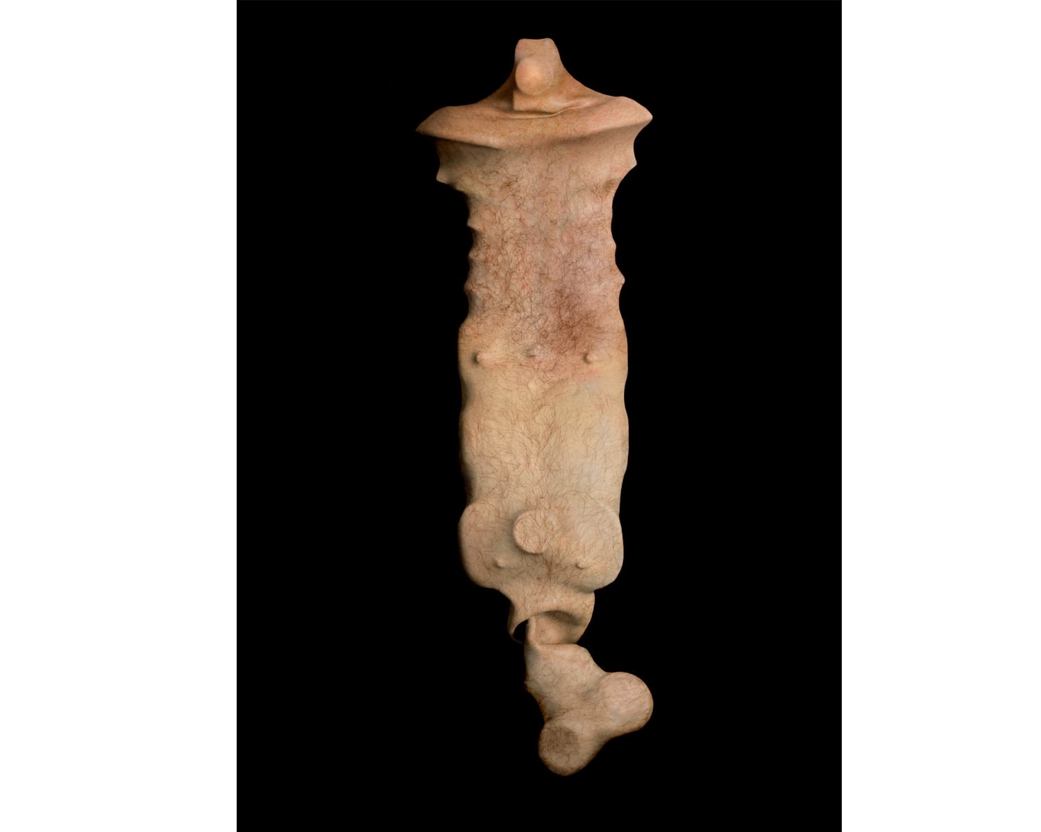 Aziz + Cucher, Chimera #1, 1998