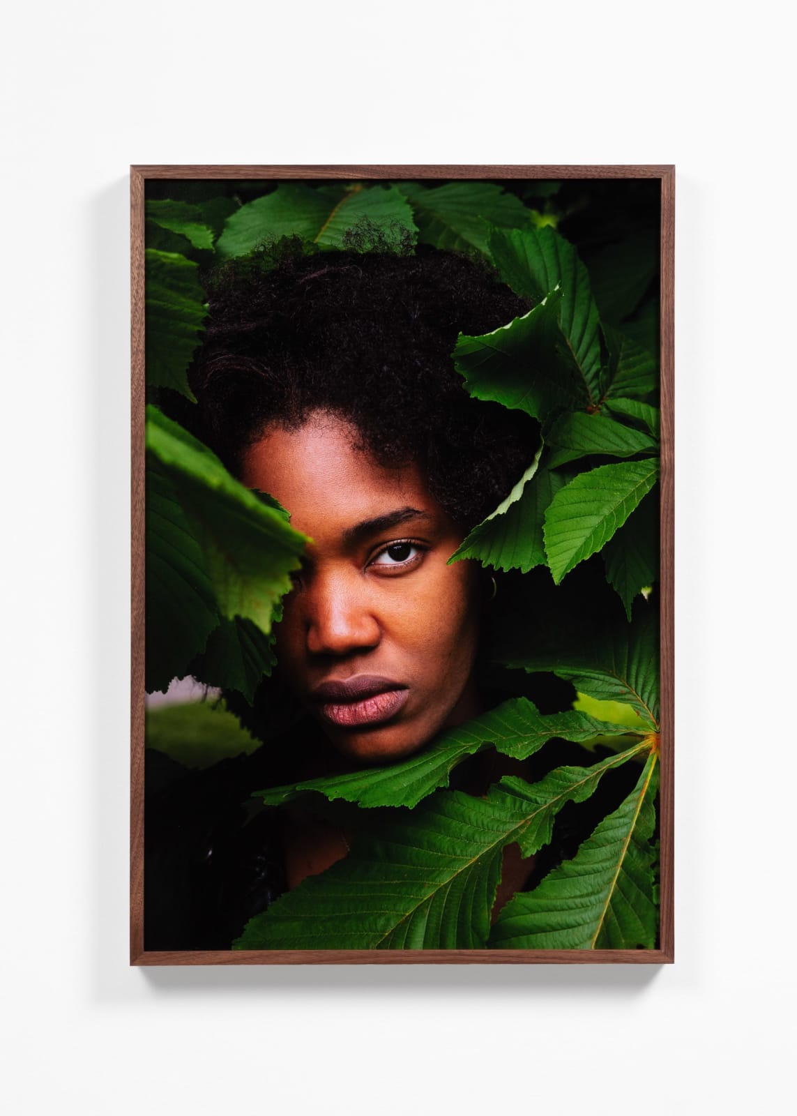 Gordon Shadrach, Wreathe, 2023