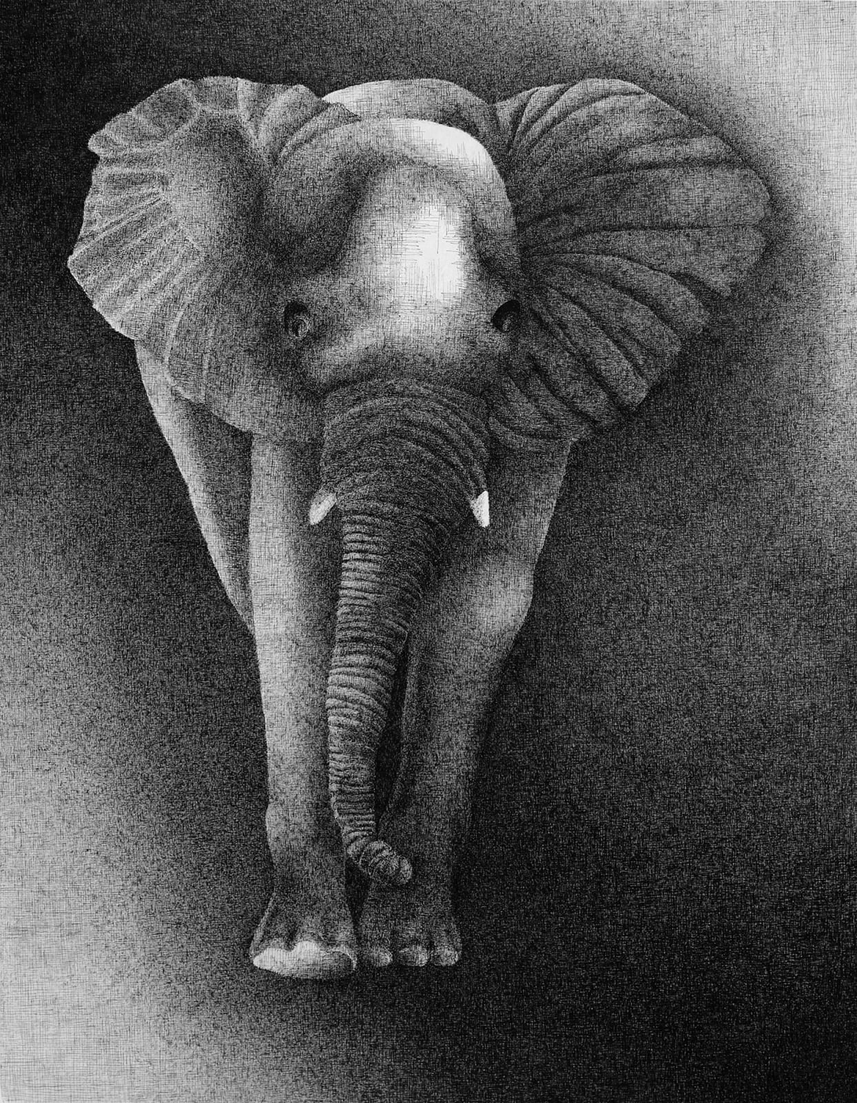 Badanna Zack, Arrivant, 2020