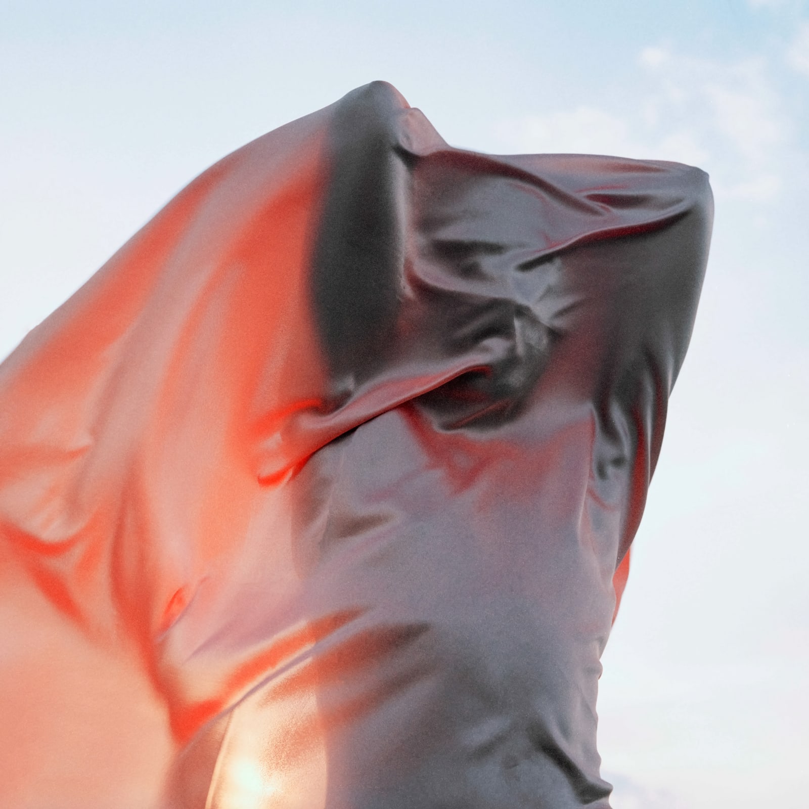 Jesse King, Venus as a Boy 3, 2020