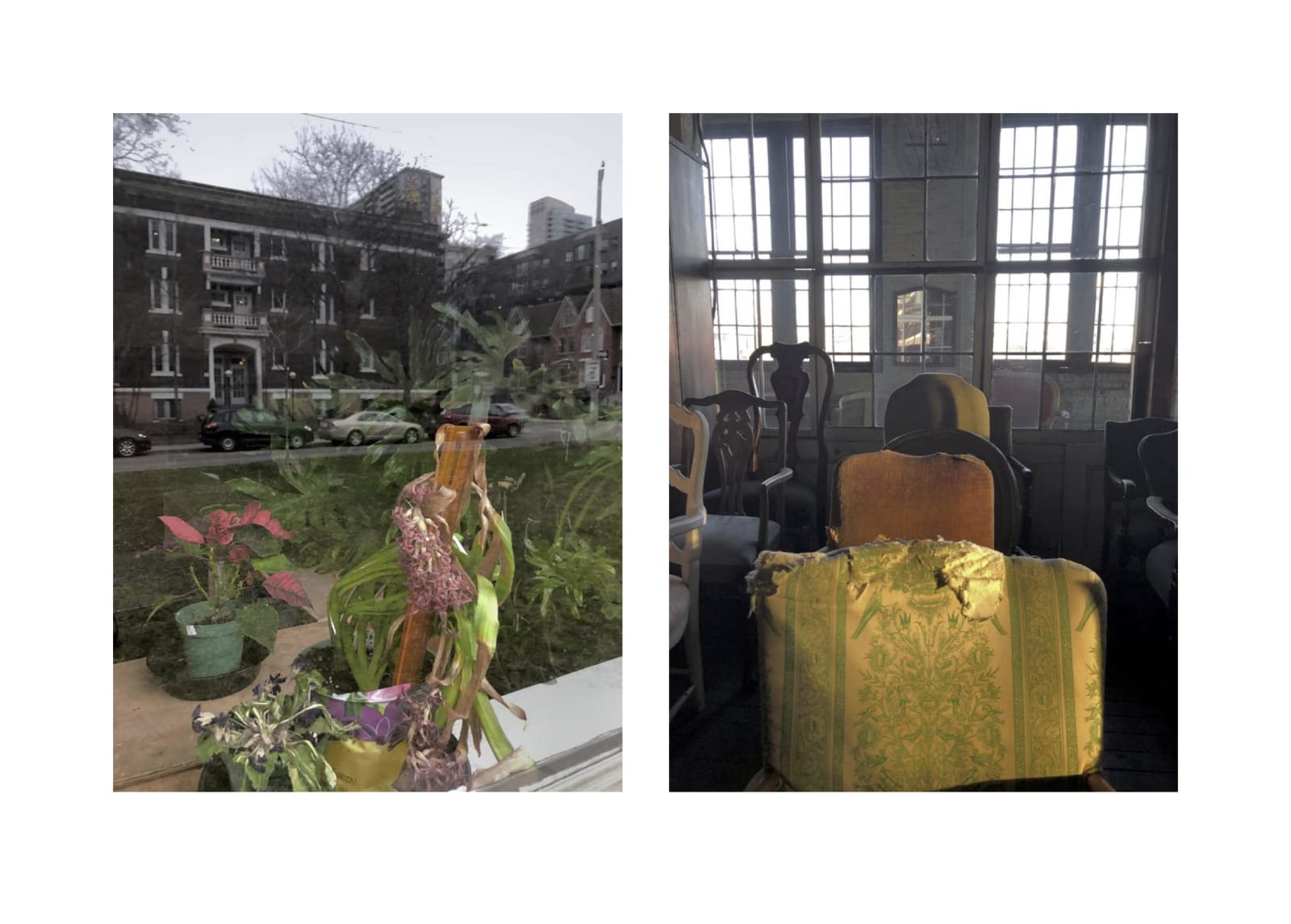 Sarah Dinnick, Diptych 22, 2021