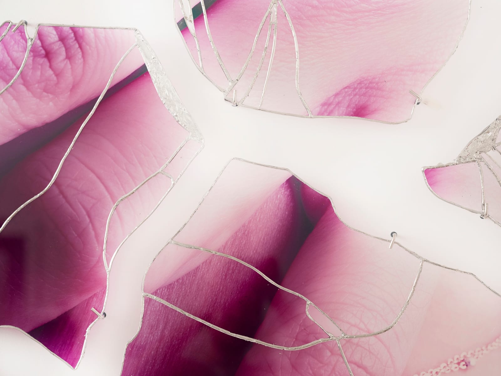 Ryan Van Der Hout, tender expanse, 2024