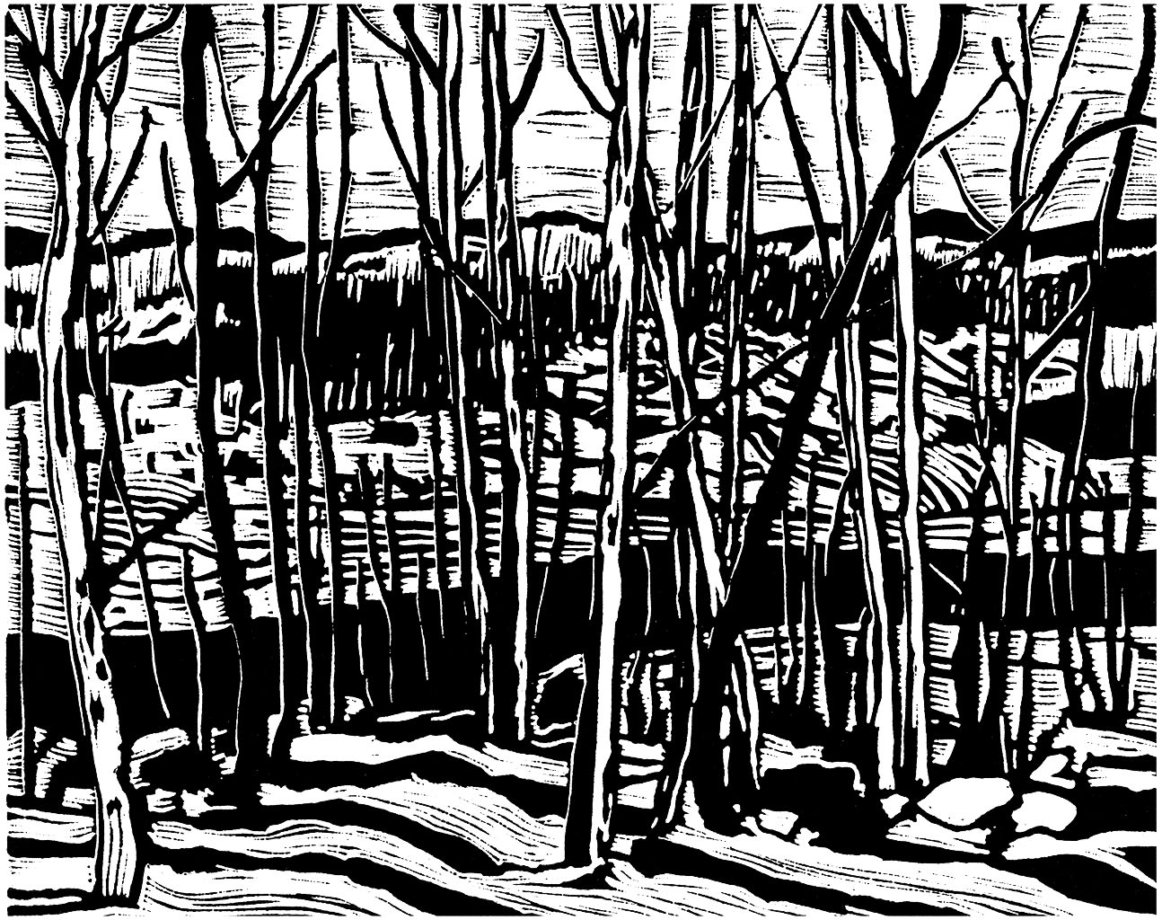 Stefan Berg, Architecture of Music Portfolio, 2020