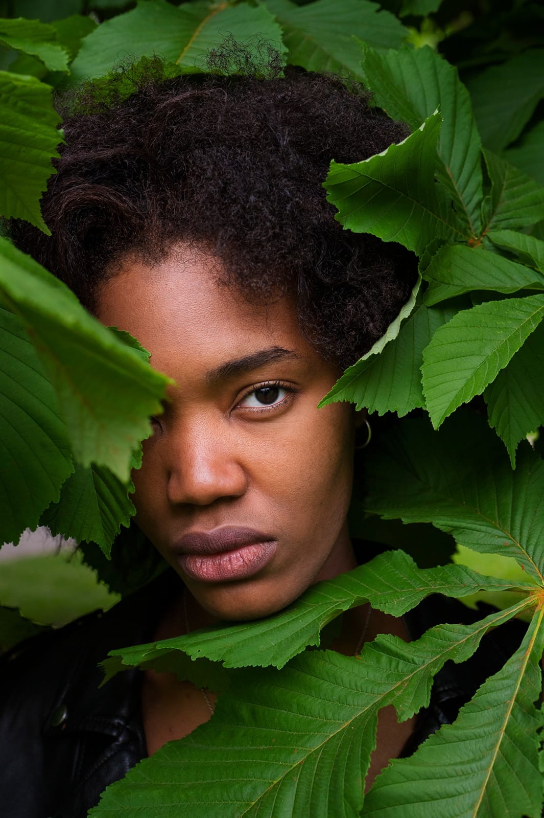 Gordon Shadrach, Wreathe, 2023