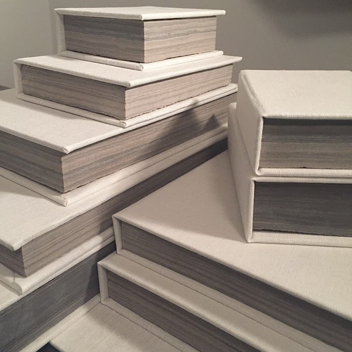 Meghan Price, Stone Books, 2017