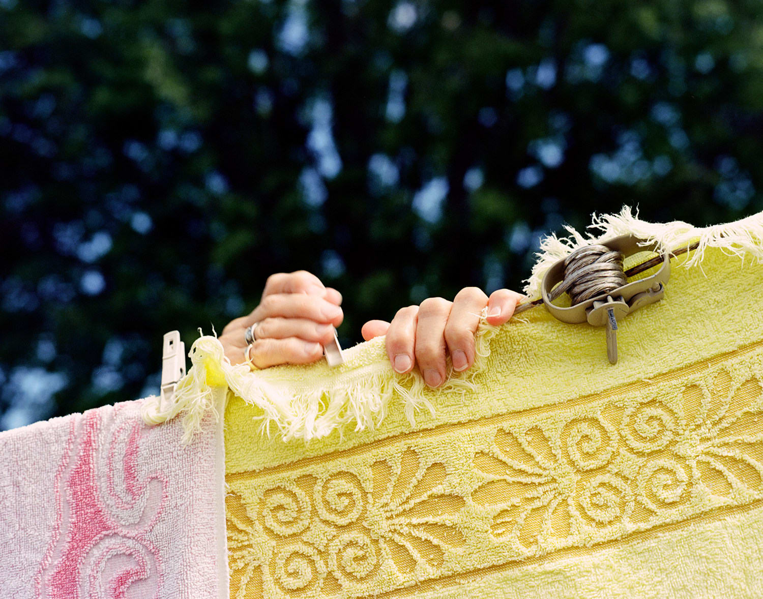 Franco Deleo, Mary’s Hands , 2009